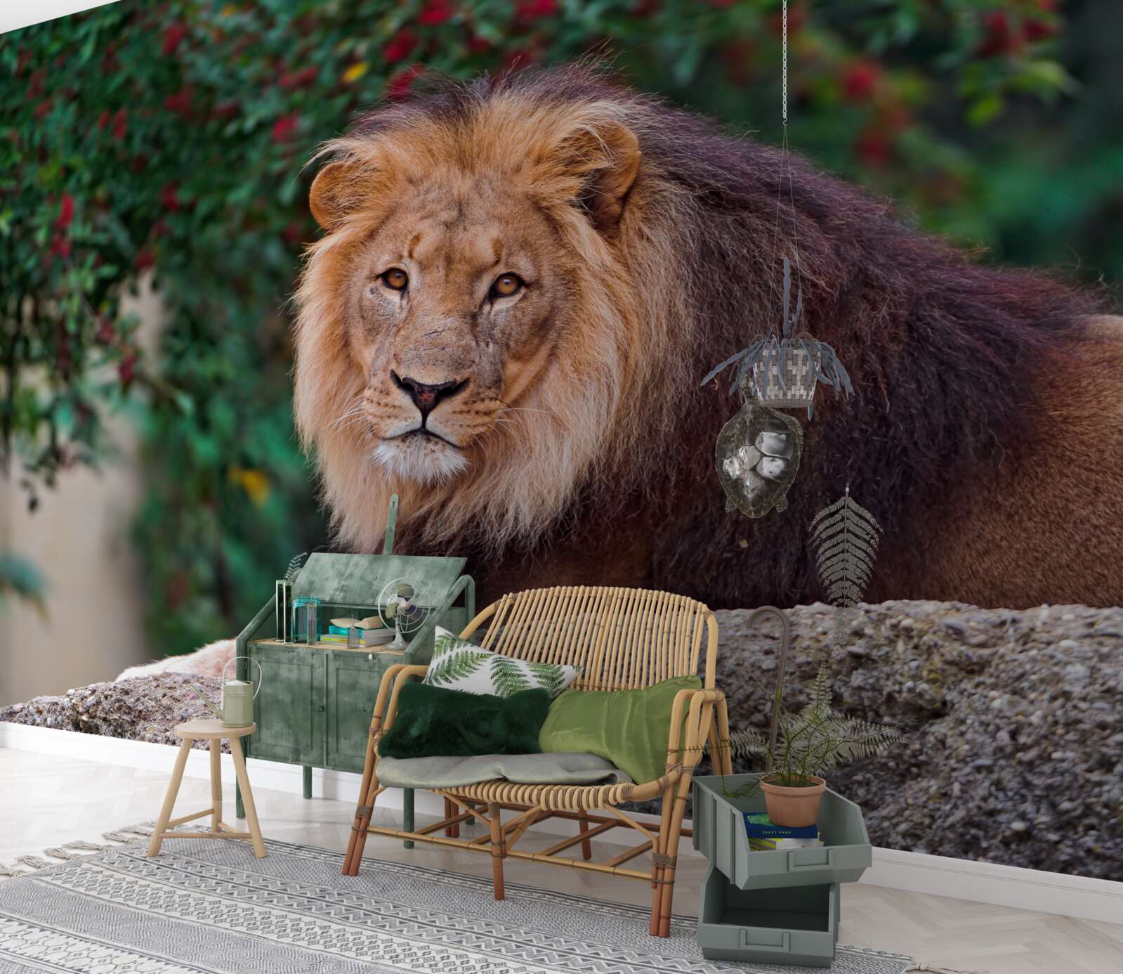 Fototapet un leu adult stă pe o stâncă și așteaptă o leoaică