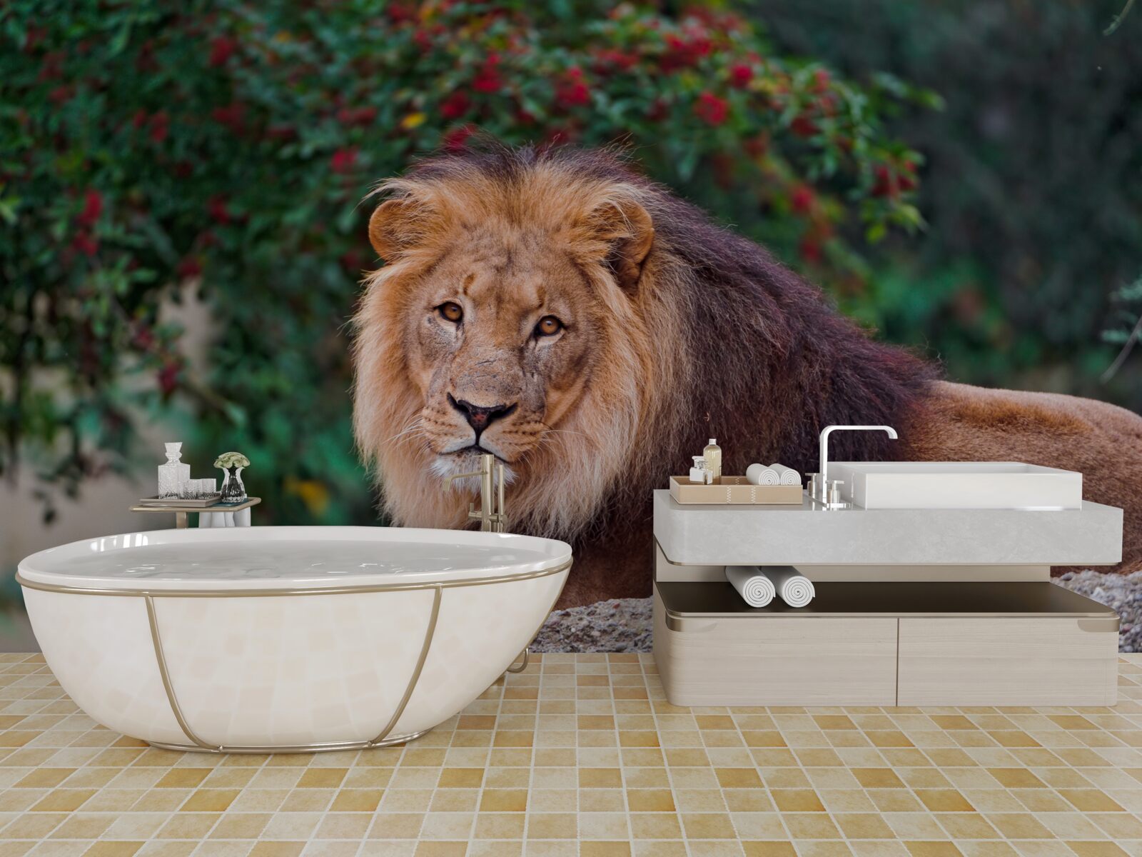 Fototapet un leu adult stă pe o stâncă și așteaptă o leoaică