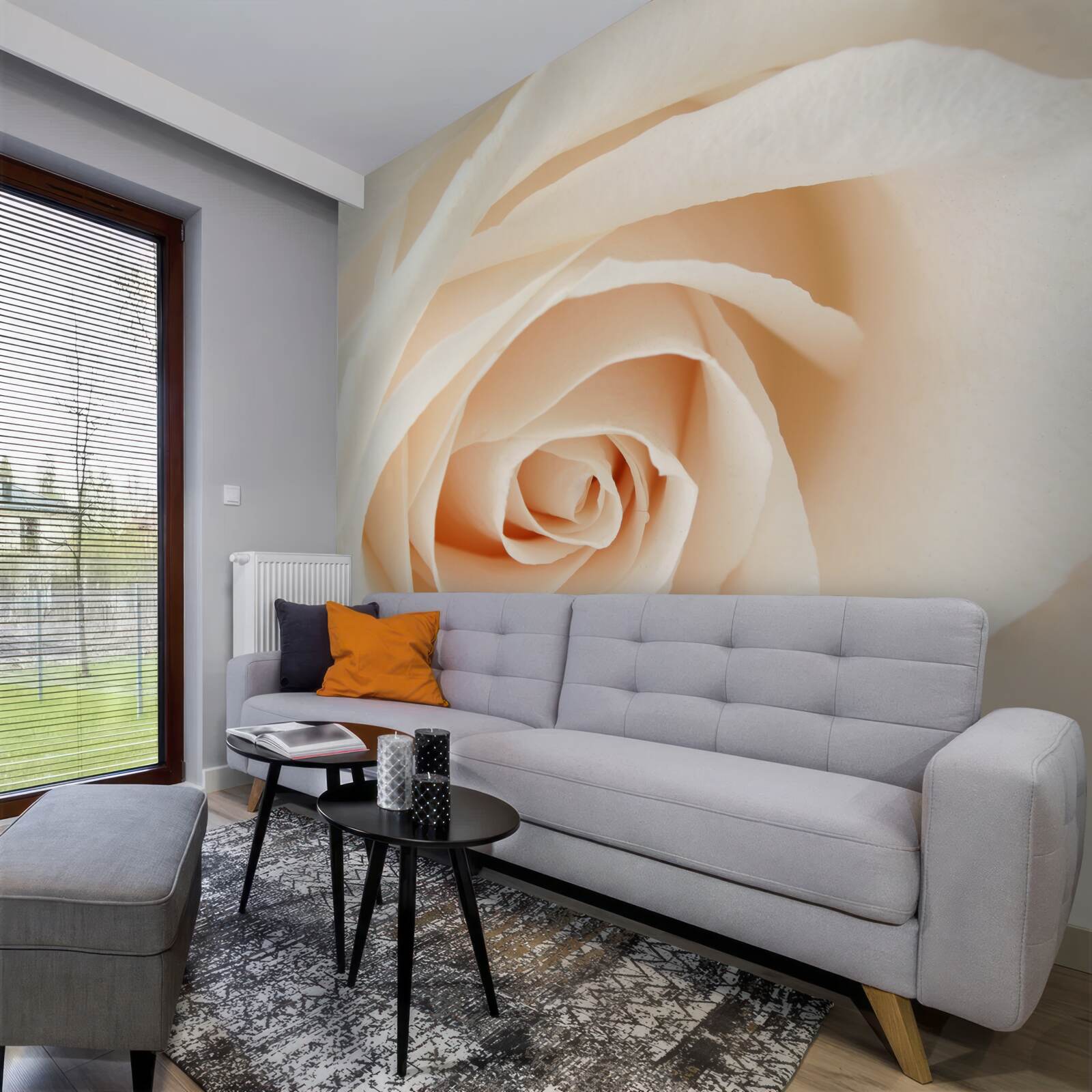 Fototapet trandafir crem cu petale moi în plină glorie