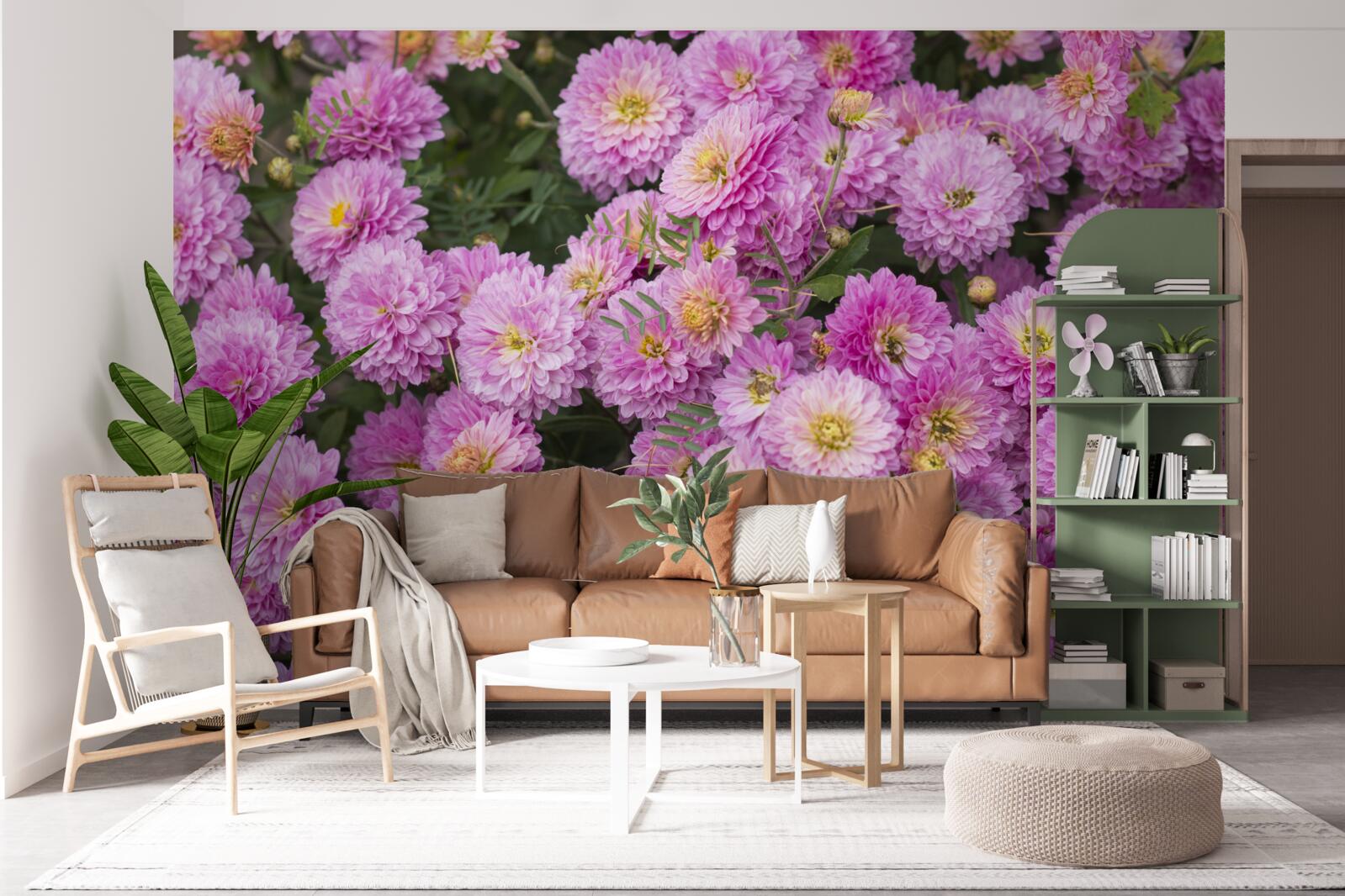 Fototapet gerbera frumoase cu margarete liliac luminos