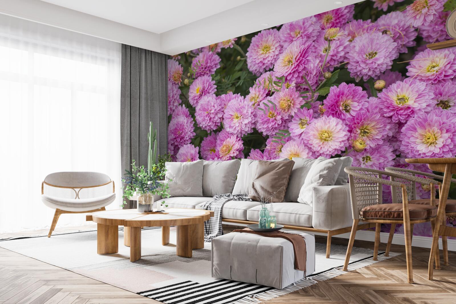 Fototapet gerbera frumoase cu margarete liliac luminos