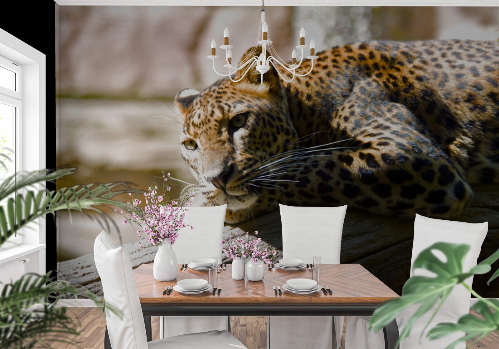 Fototapet panteră scăldată în soarele fierbinte