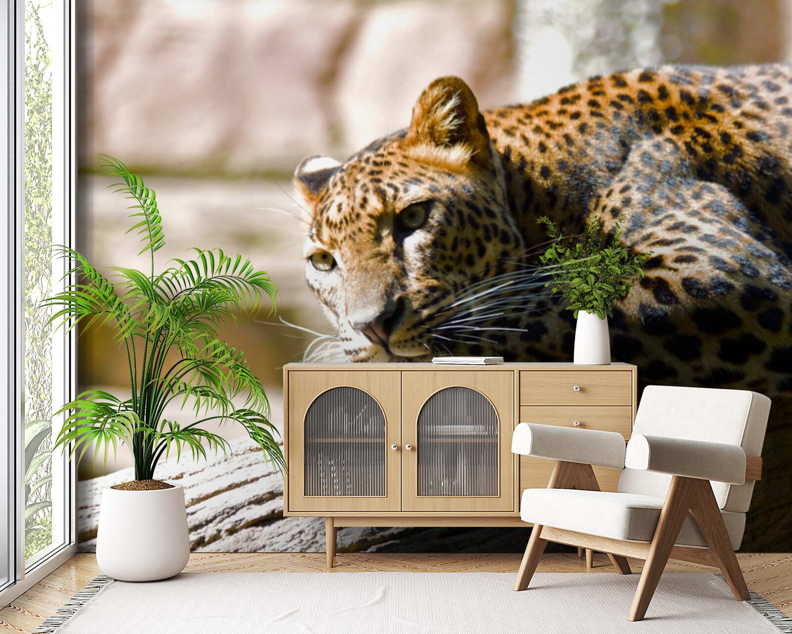 Fototapet panteră scăldată în soarele fierbinte