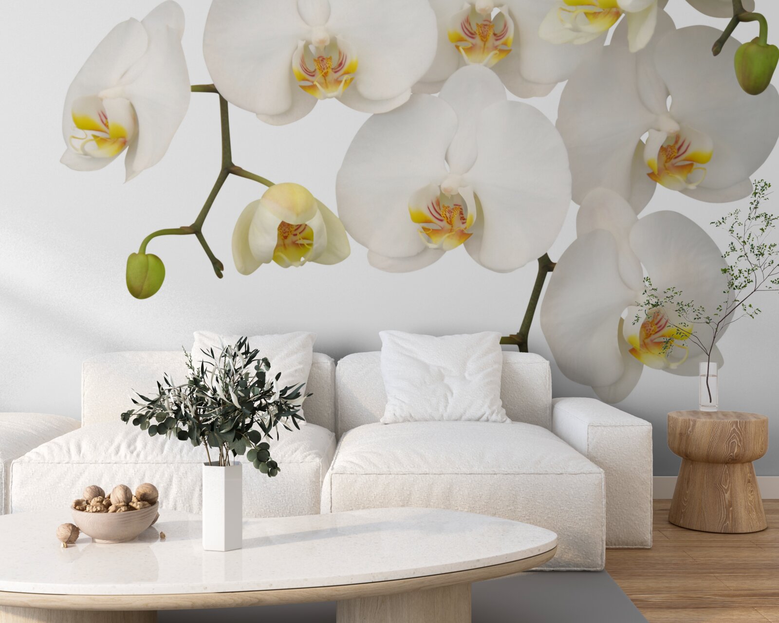 Fototapet orhidee suspendate cu flori albe