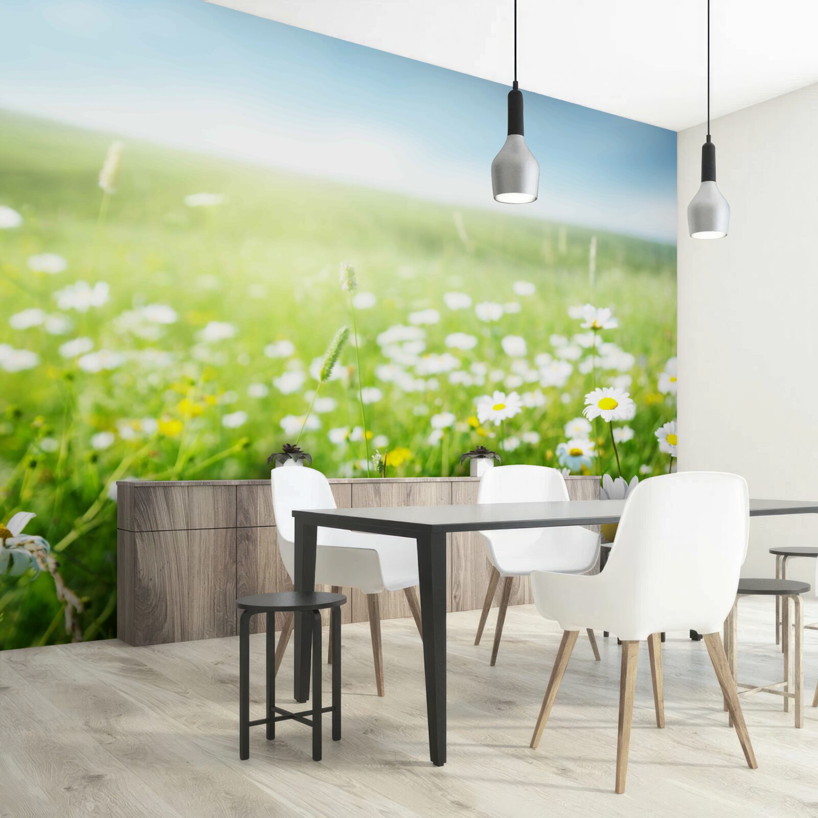 Fototapet margarete albe în razele soarelui