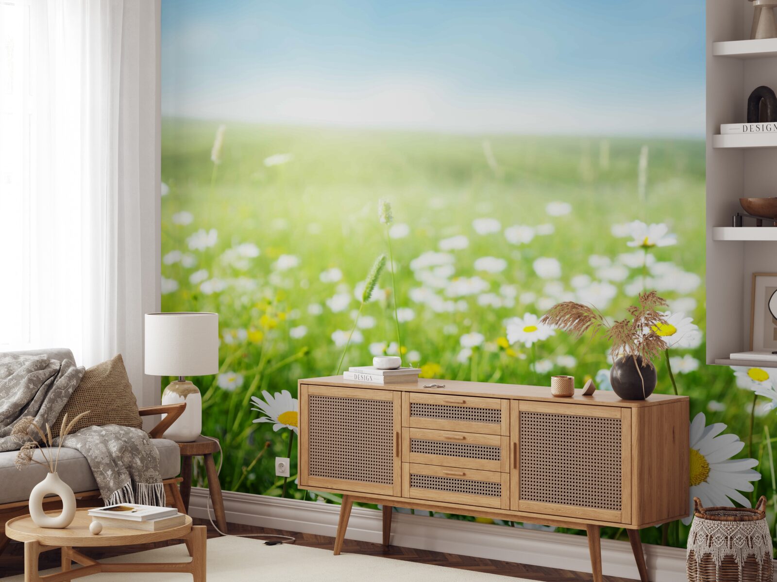 Fototapet margarete albe în razele soarelui