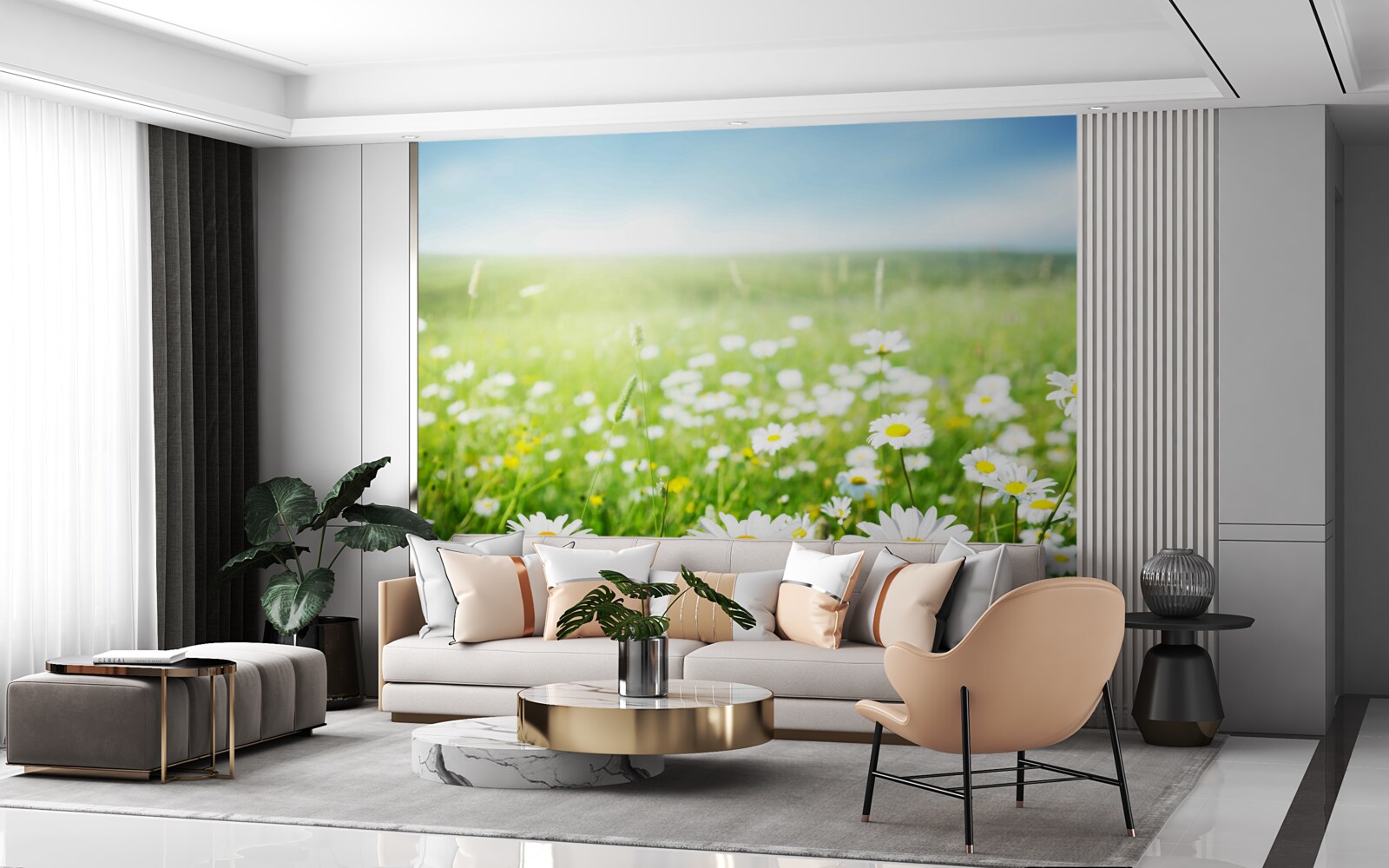 Fototapet margarete albe în razele soarelui