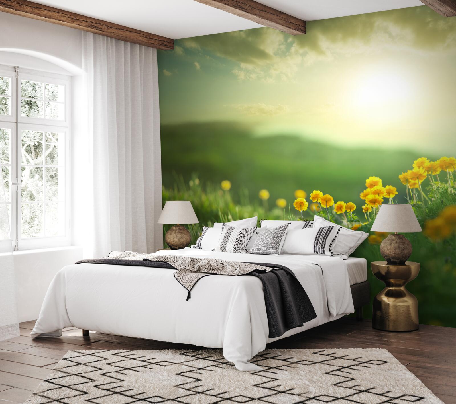 Fototapet pe o pajiște, păpădiile aurii privesc răsăritul