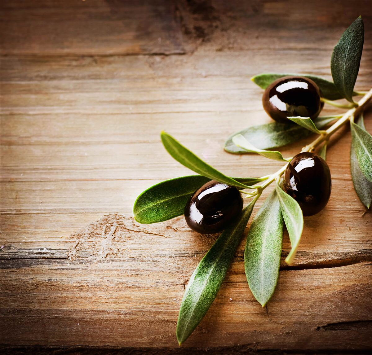 Fototapet ramuri decorate cu măsline negre și frunze verzi