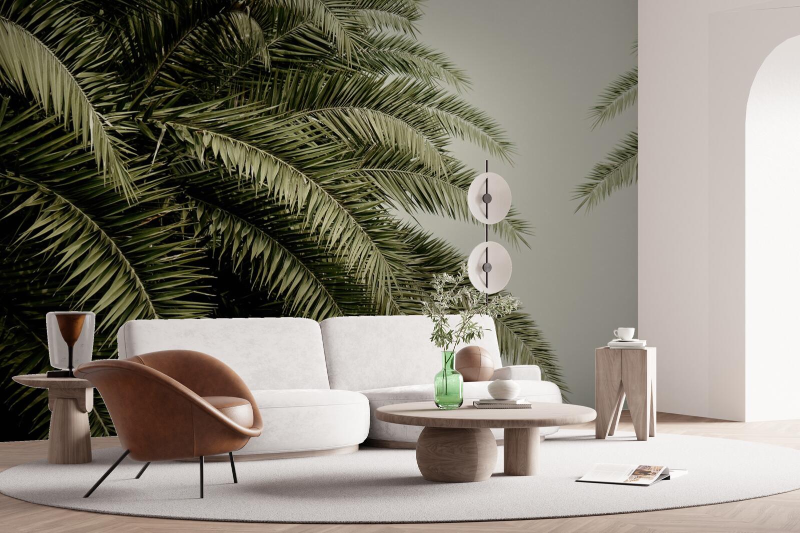 Fototapet frunze de ferigă acoperite dens cu umezeală atunci când plouă