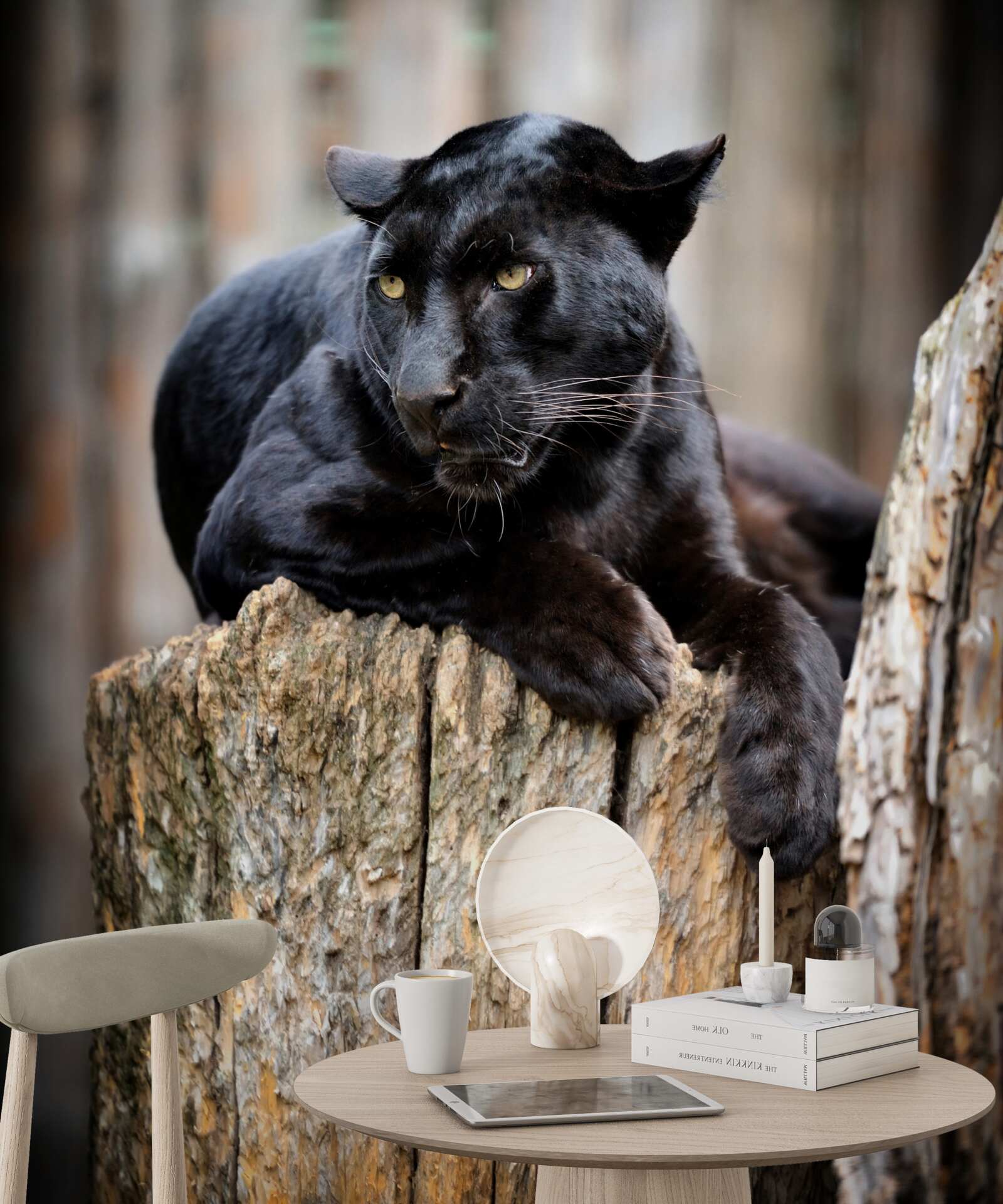 Fototapet o panteră neagră stă pe un copac