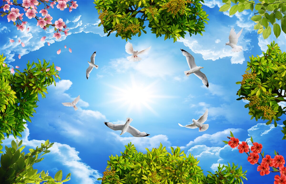 Fototapet păsările din pădure se bucură de o zi însorită