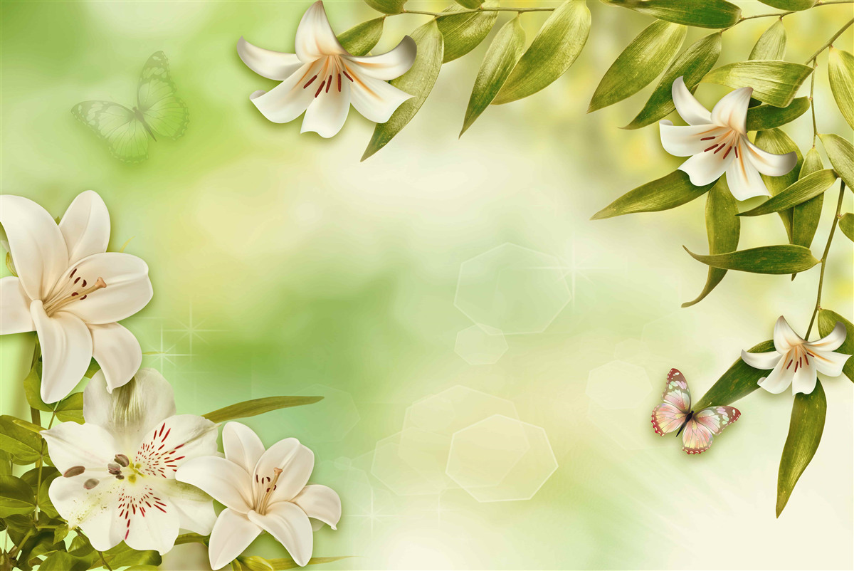 Fototapet flori de primăvară cu fluturi fluturând