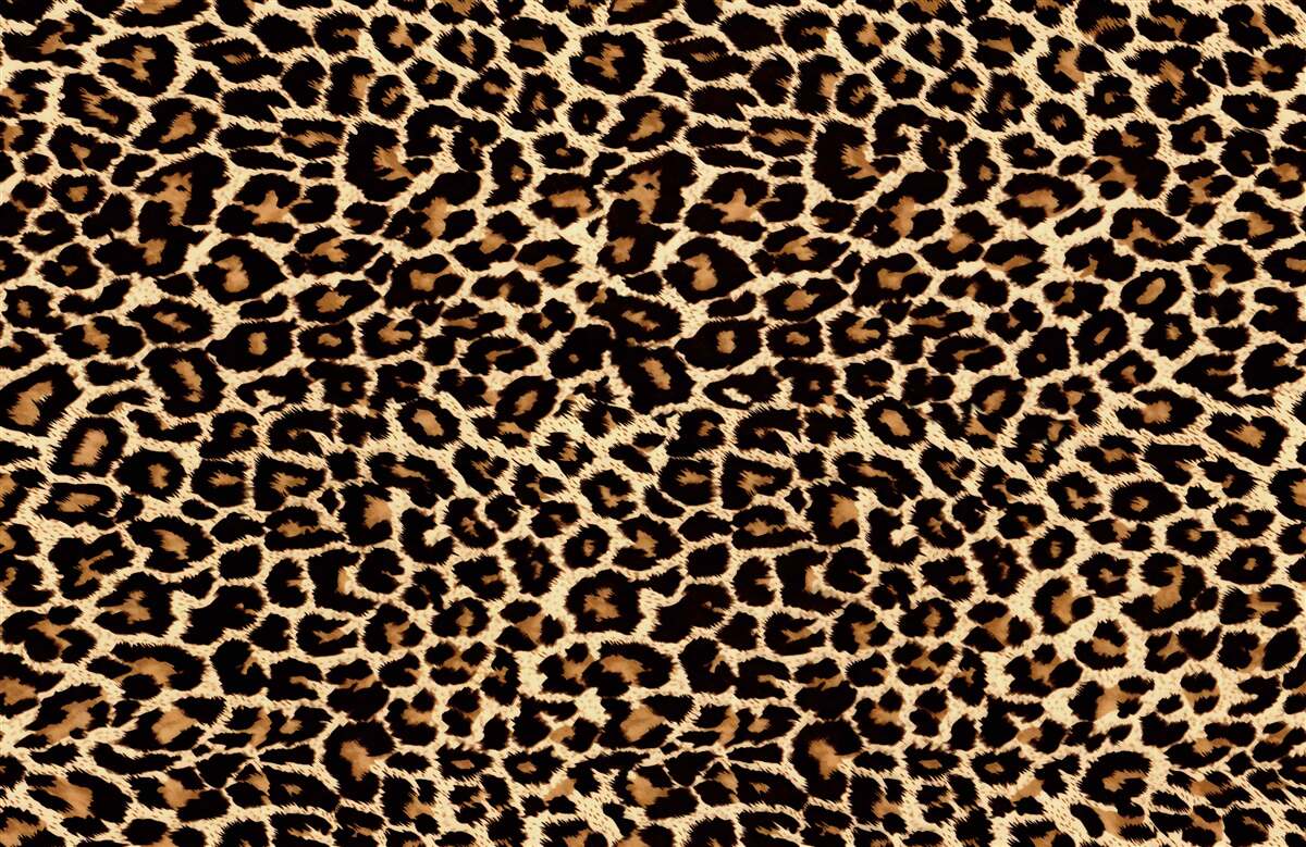 Fototapet model leopard neobișnuit