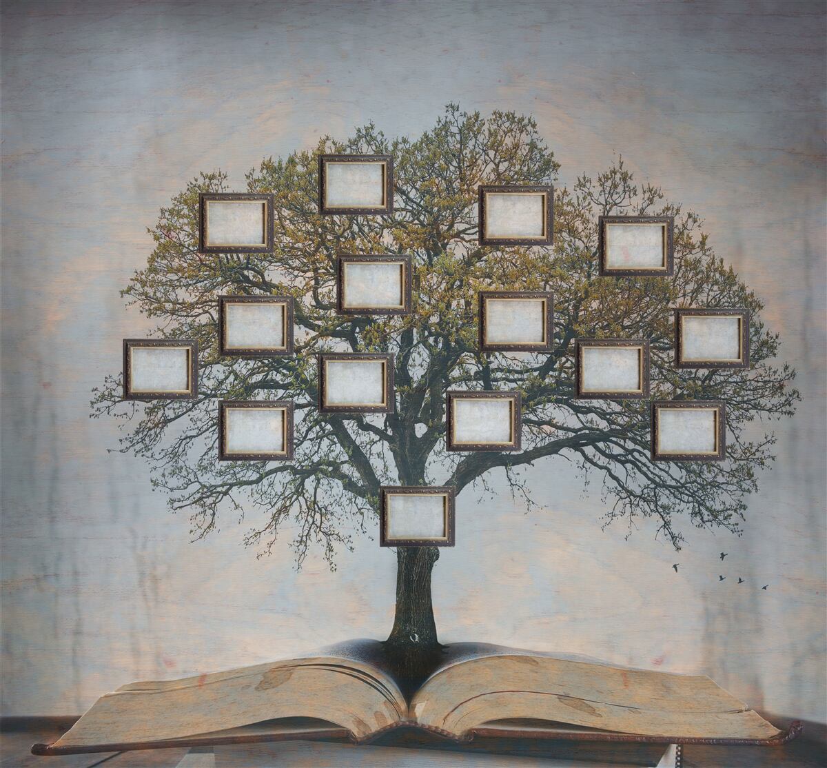 Fototapet arbore genealogic fără imagini