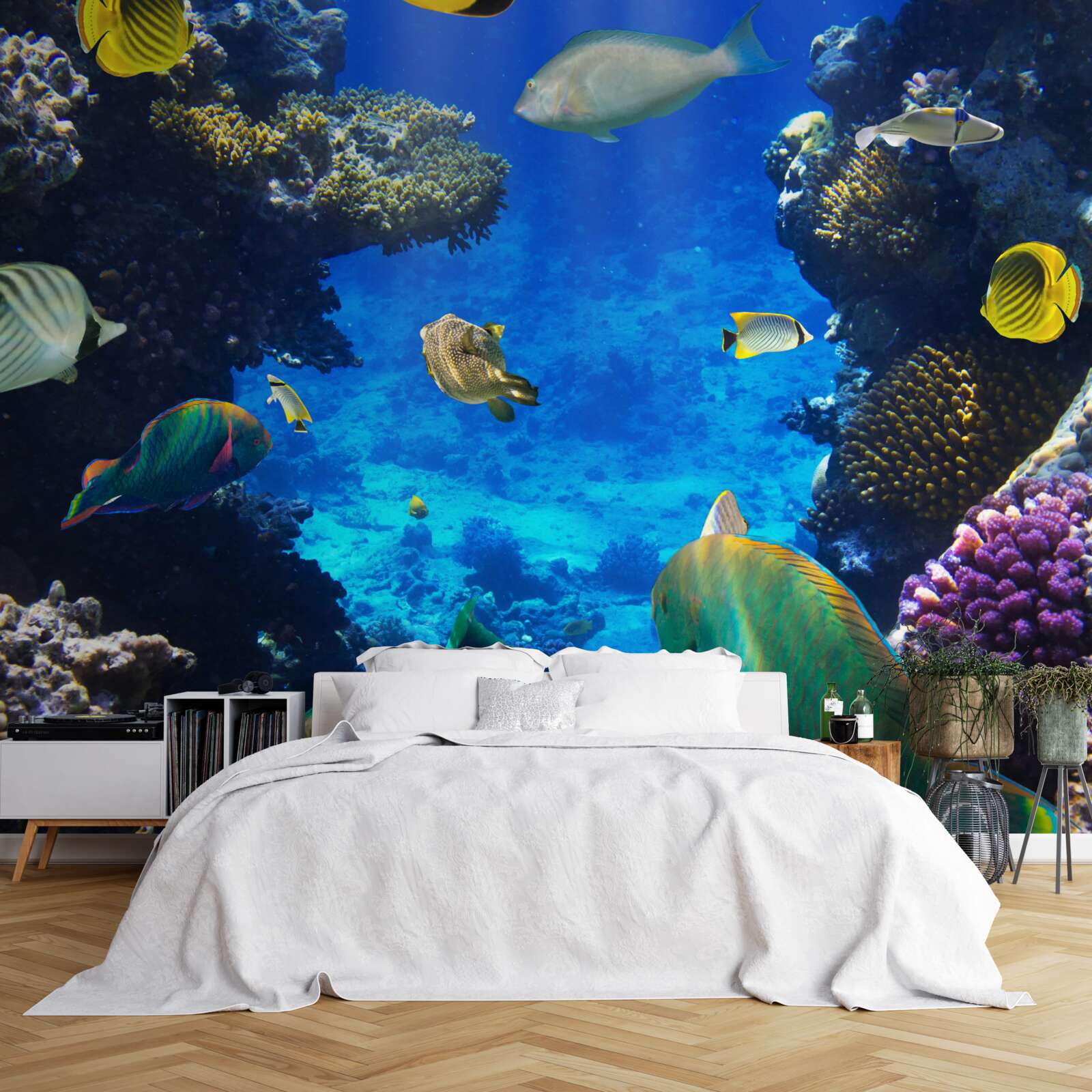 Fototapet adâncurile misterioase ale oceanului