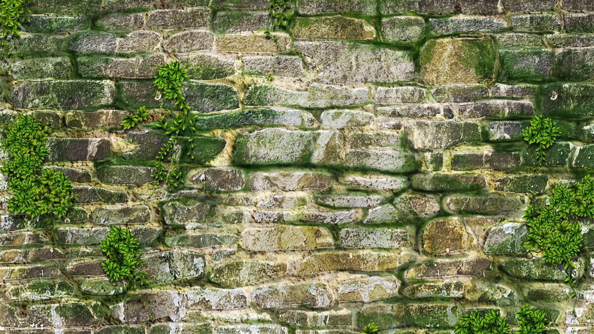 Fototapet piatră veche acoperită cu mușchi