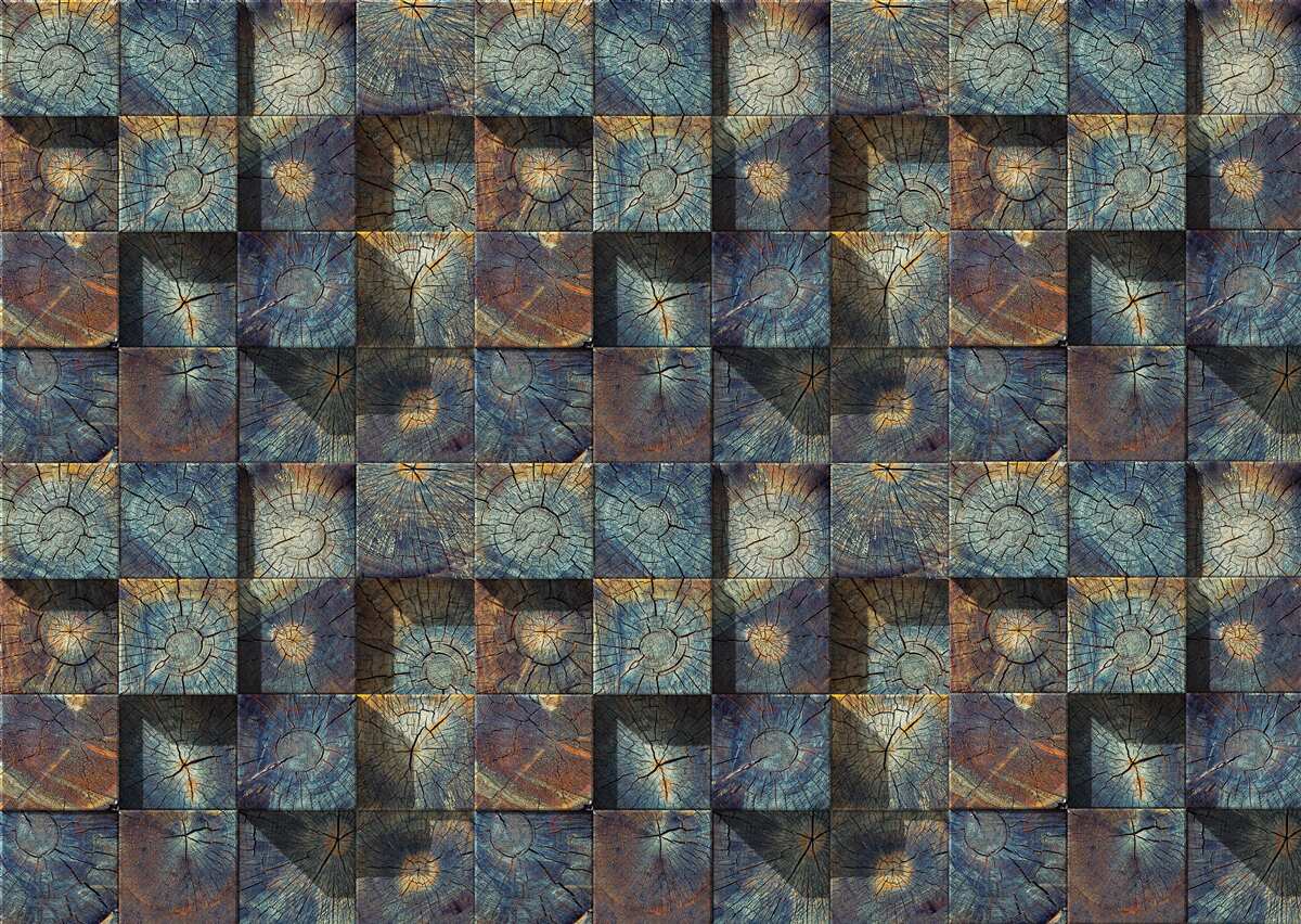 Fototapet puieți de copaci mici