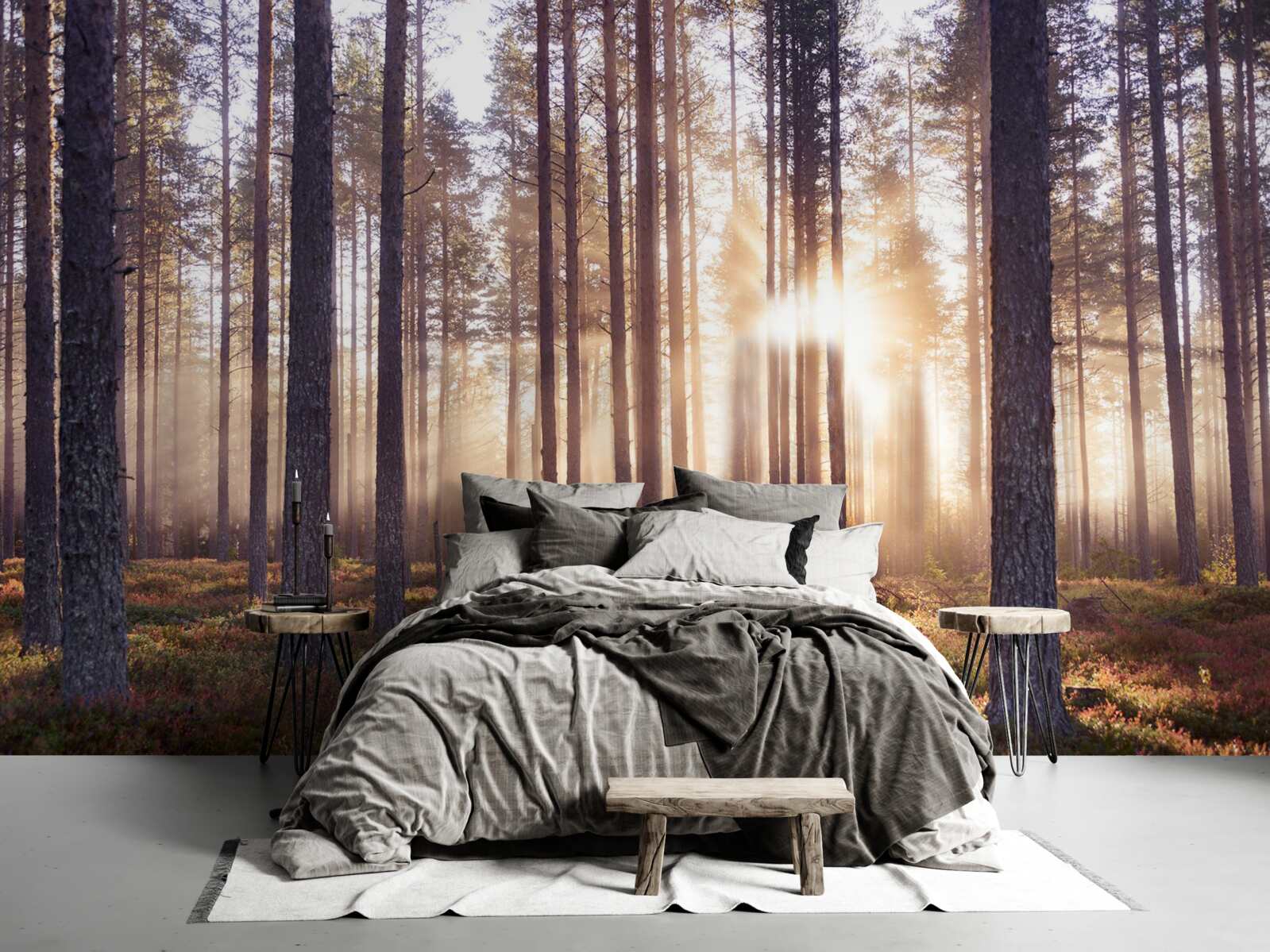 Fototapet dimineața în pădure