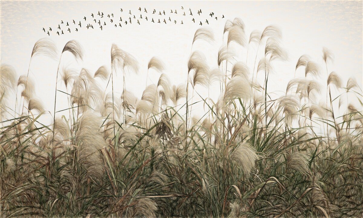 Fototapet plante cu o textură pufoasă