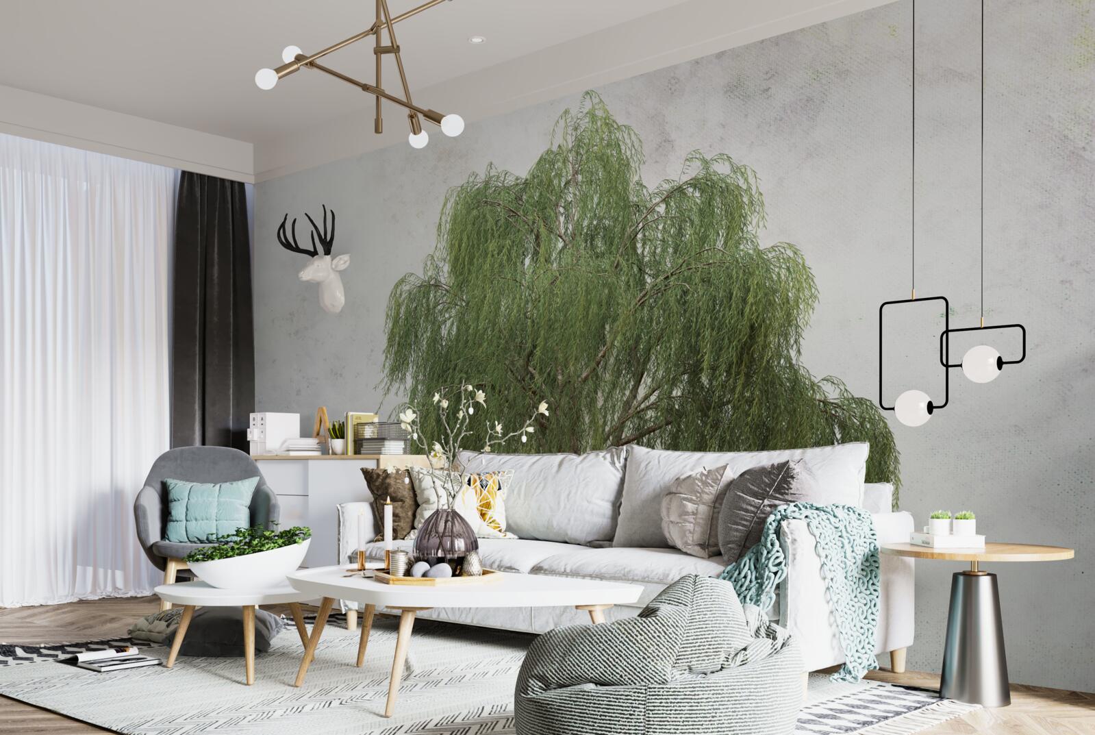 Fototapet salcie plângătoare