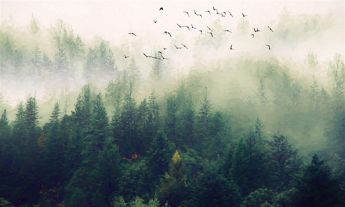 Fototapet păsările zboară deasupra pădurii în aerul cețos