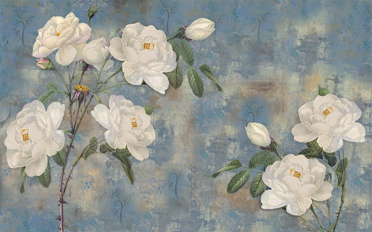 Fototapet trandafiri albi pe un fundal albastru