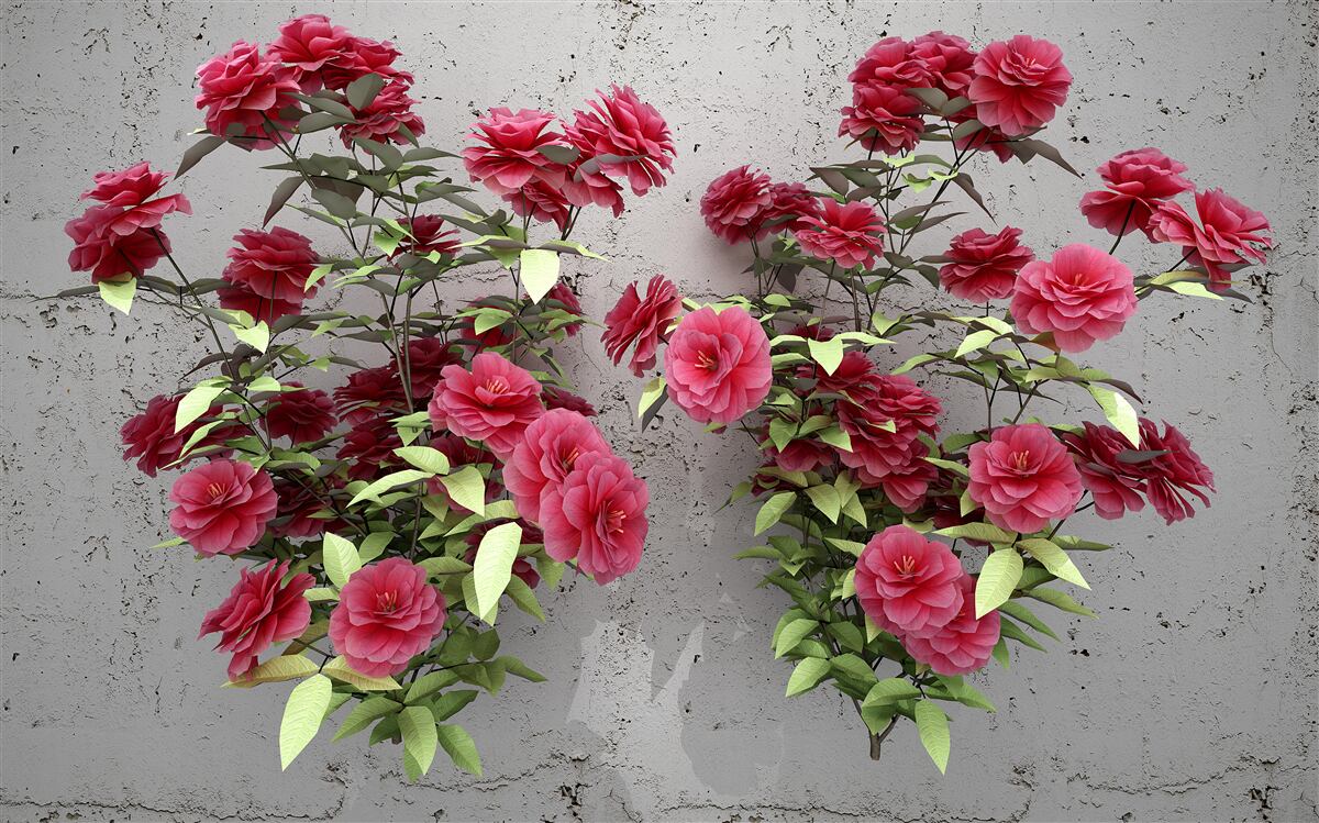 Fototapet flori roz cu frunze verzi