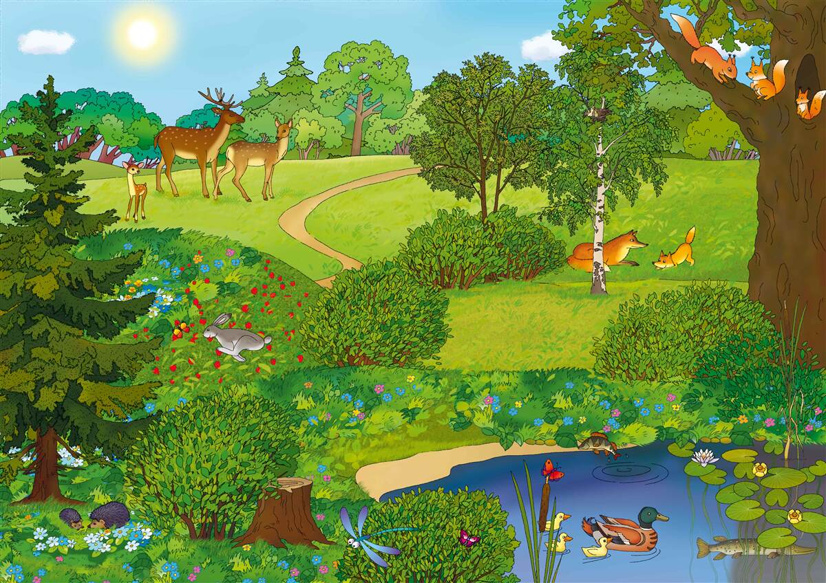 Fototapet animalele se plimbă printr-o poiană de pădure