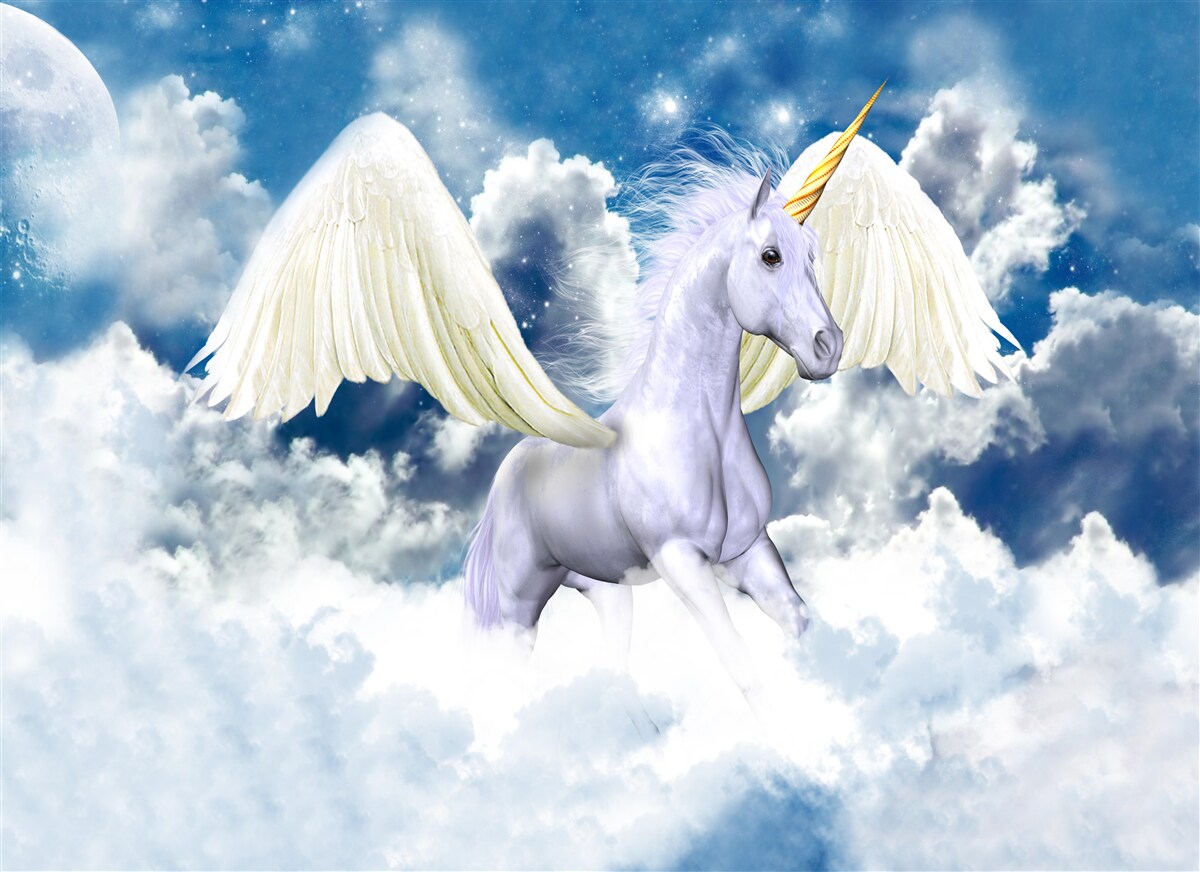 Fototapet Pegasus zburând printre nori