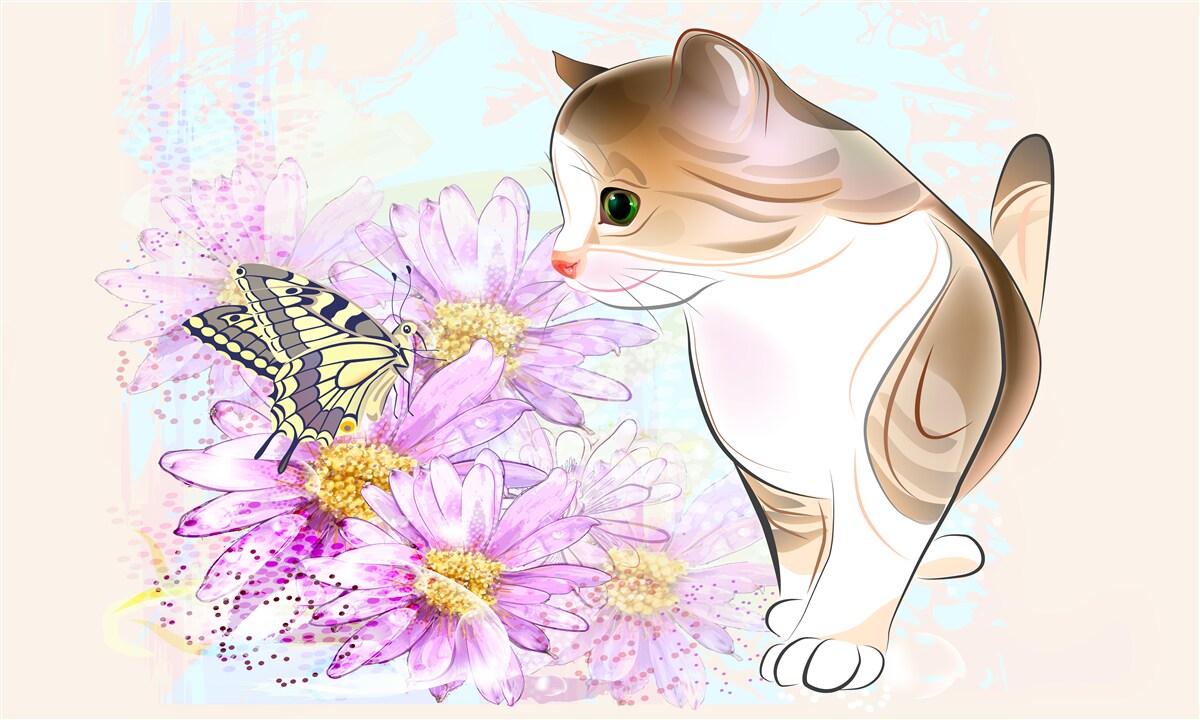 Fototapet fluturele a atras atenția pisicii