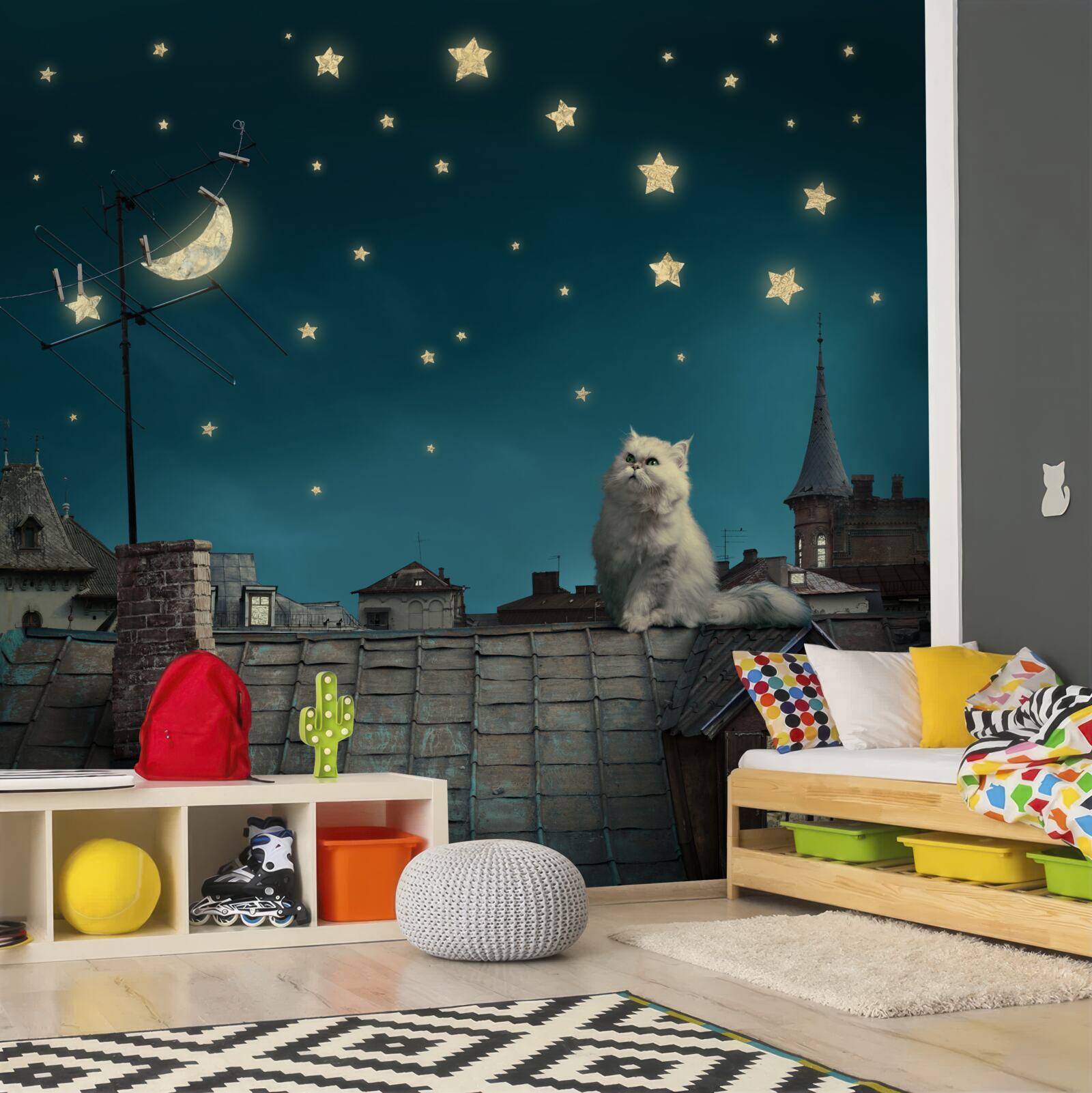 Fototapet noaptea este o pisică albă pe acoperiș