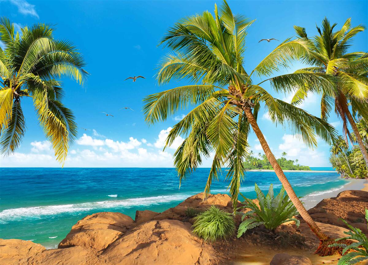 Fototapet palmieri înalți lângă coastă