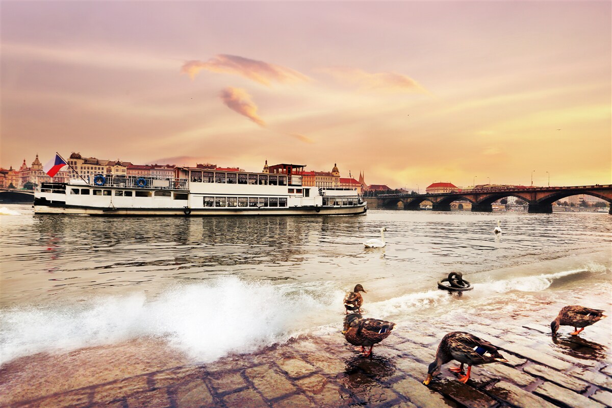 Fototapet rațe lângă iaz