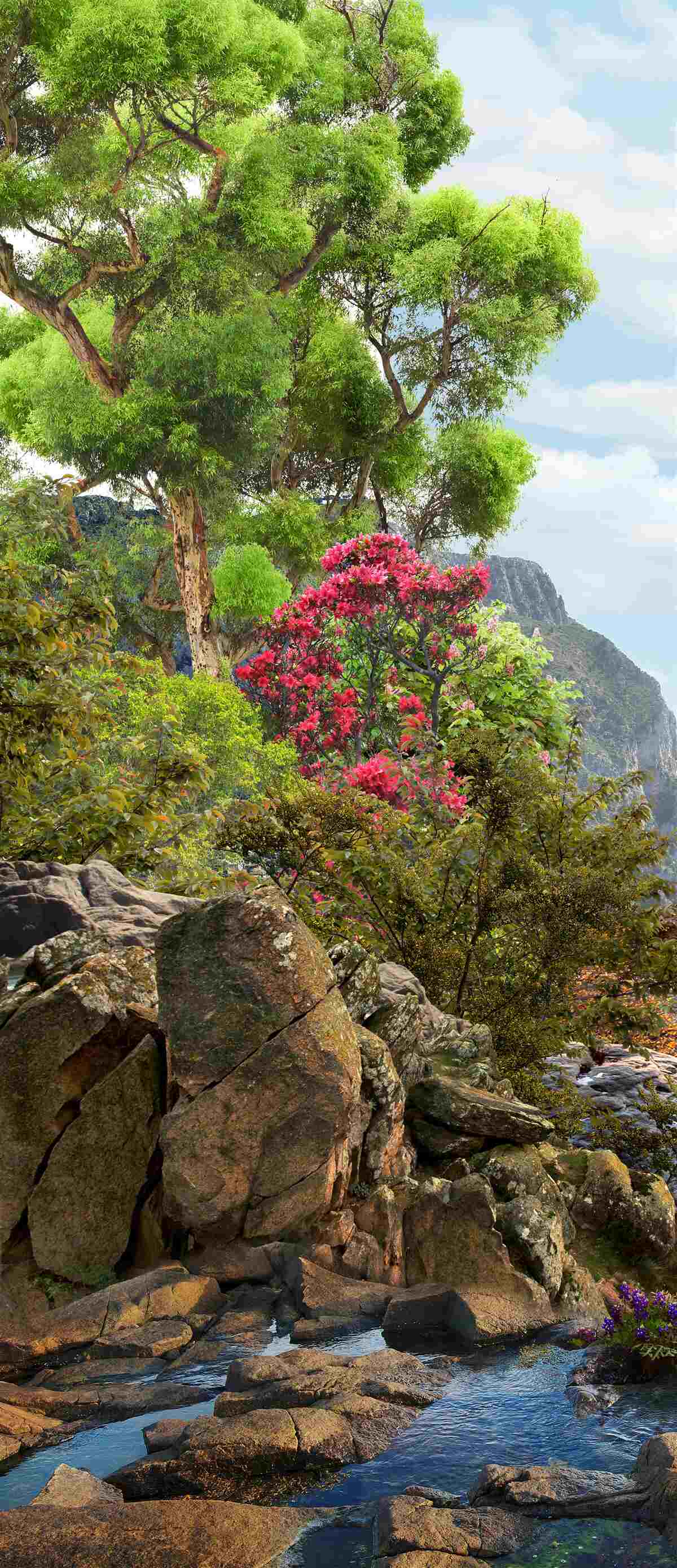 Fototapet iarbă și pârâu de munte