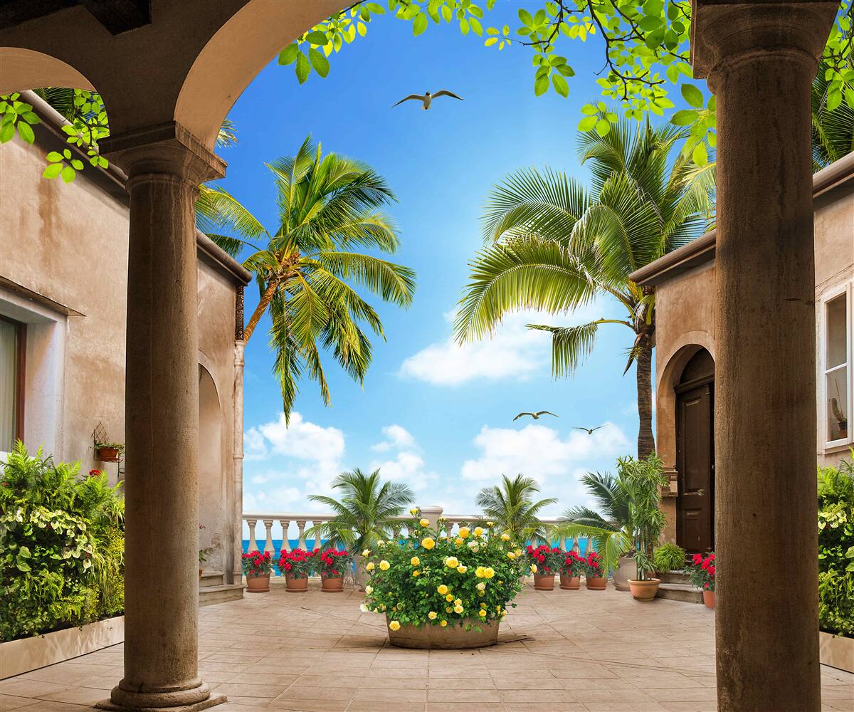 Fototapet terasă decorată cu plante verzi