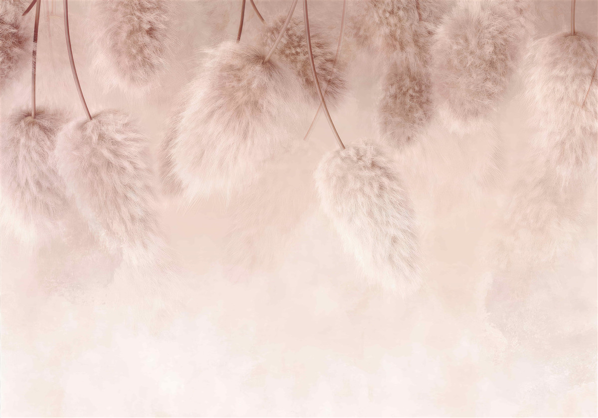 Fototapet flori uscate pe un fundal roz