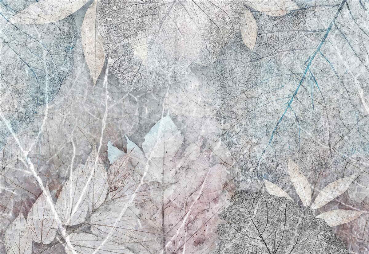 Fototapet colecție de plante uscate pe un fundal gri