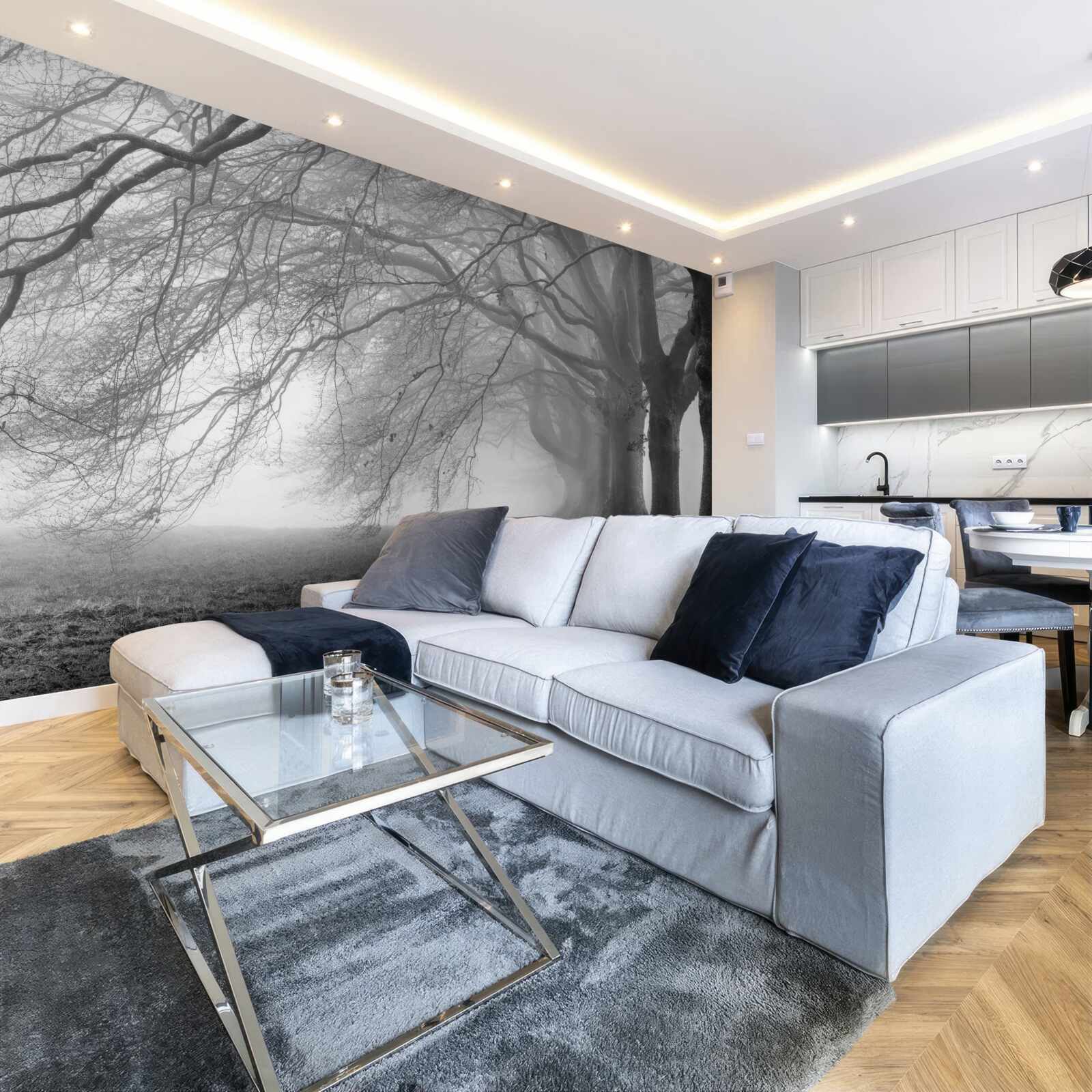 Fototapet pădure cețoasă acoperită cu copaci