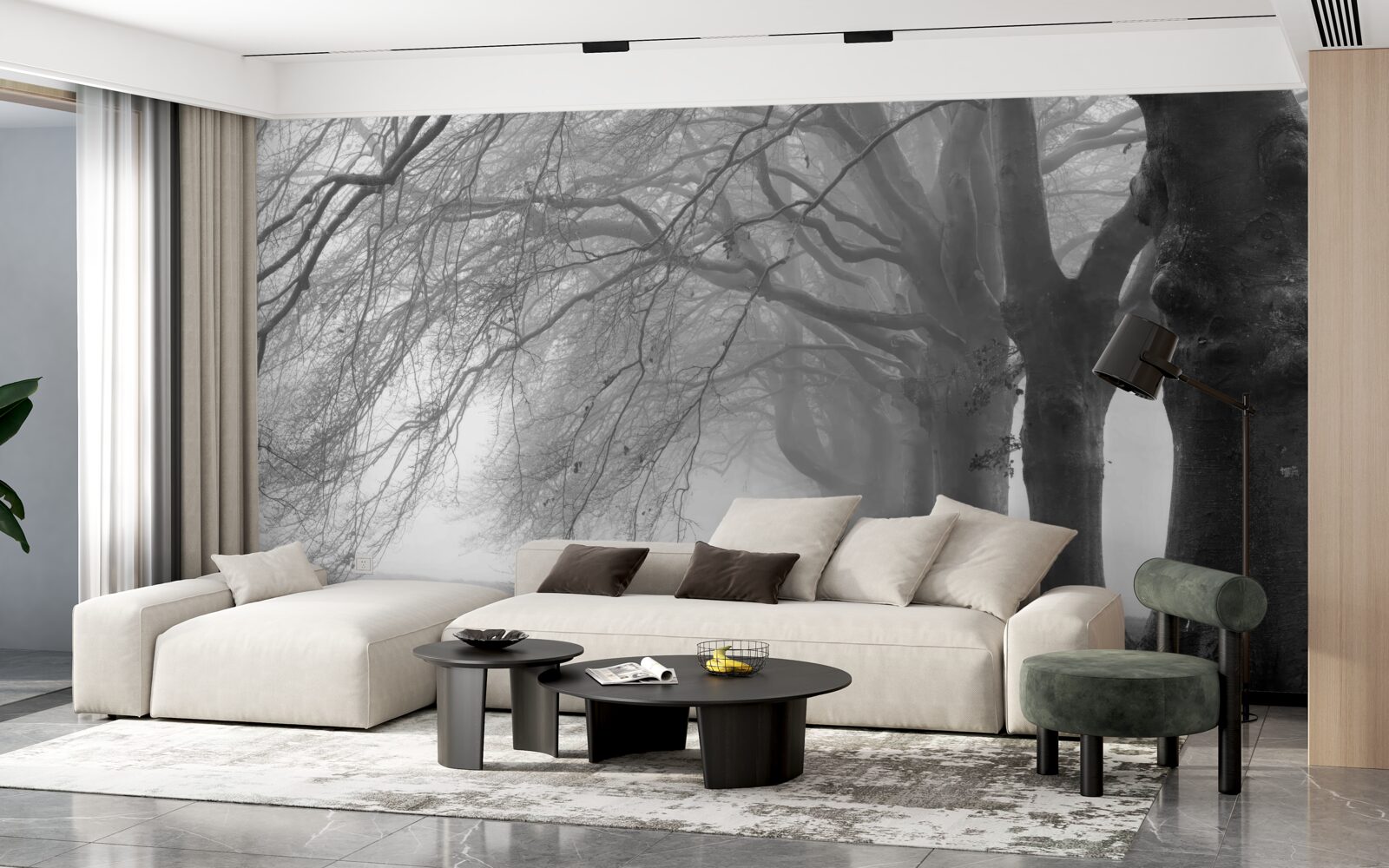 Fototapet pădure cețoasă acoperită cu copaci