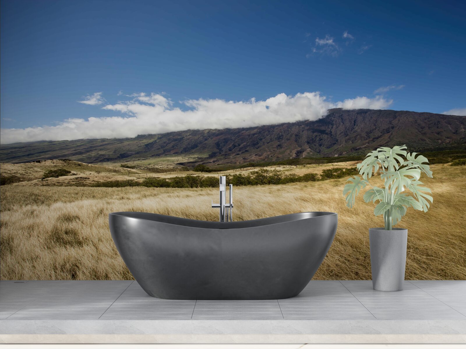 Fototapet savană cu iarbă luxuriantă