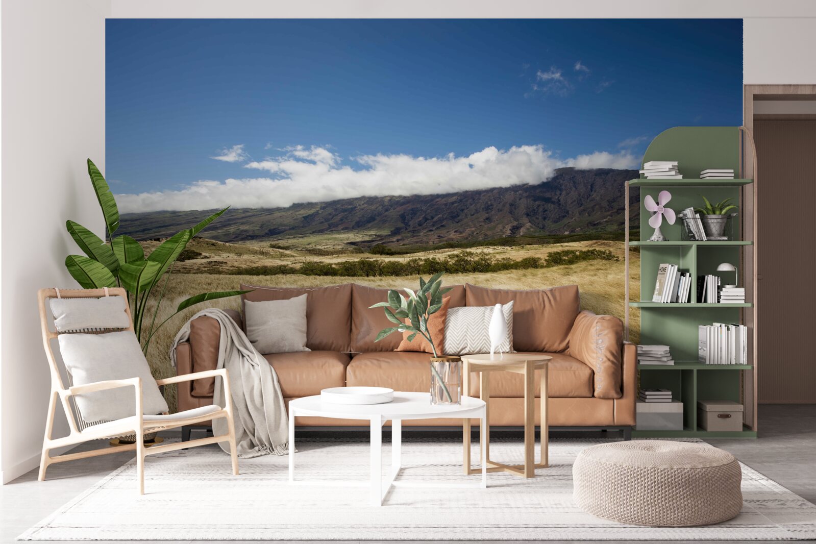 Fototapet savană cu iarbă luxuriantă