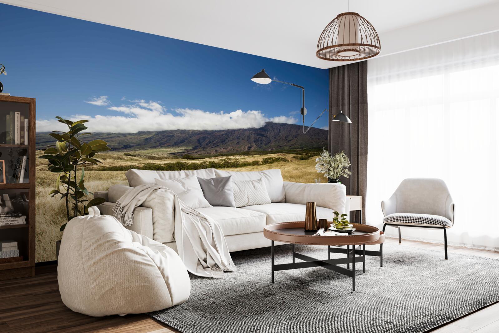 Fototapet savană cu iarbă luxuriantă