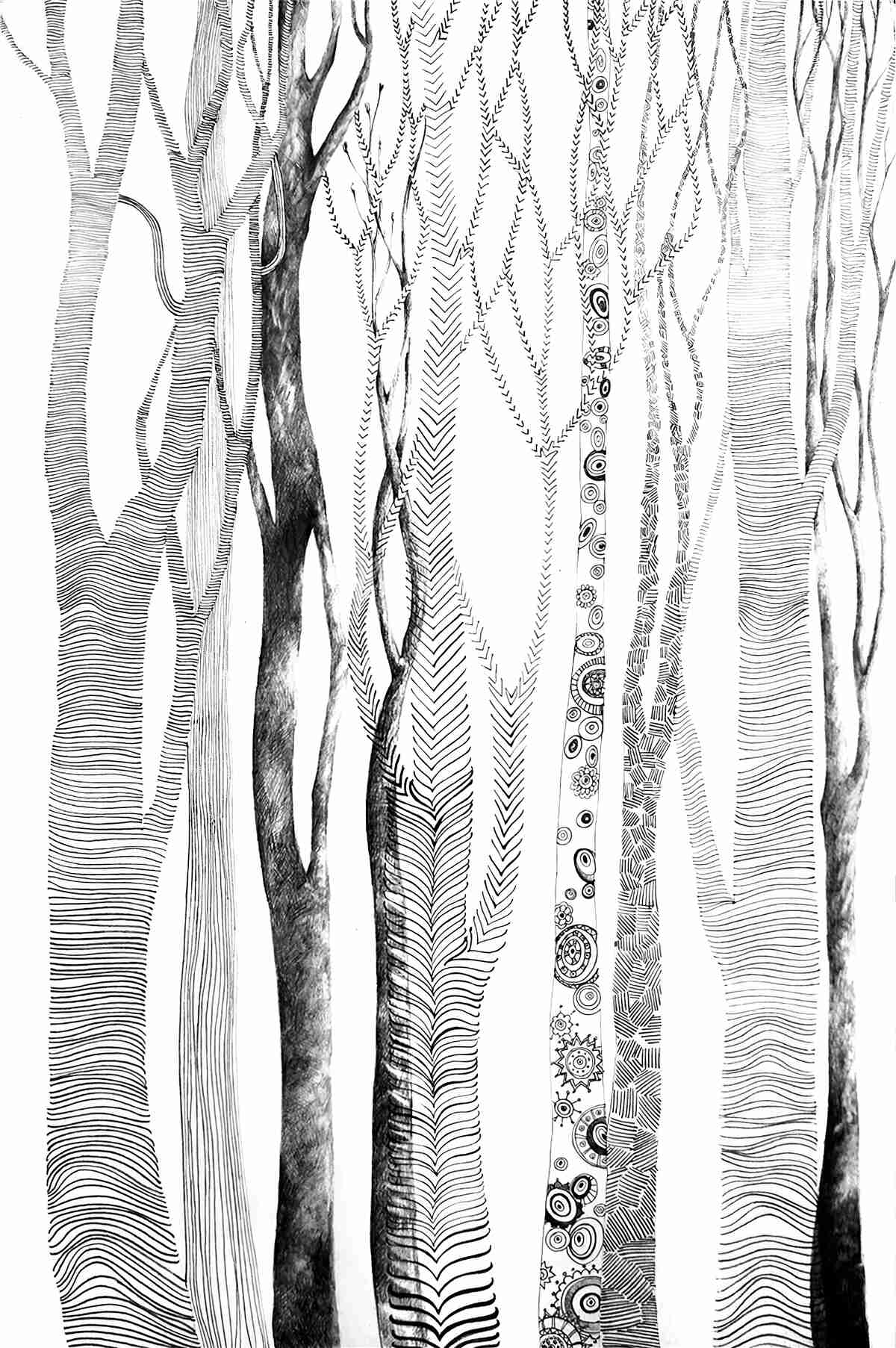 Fototapet model de mesteceni în pădure, fără sudură