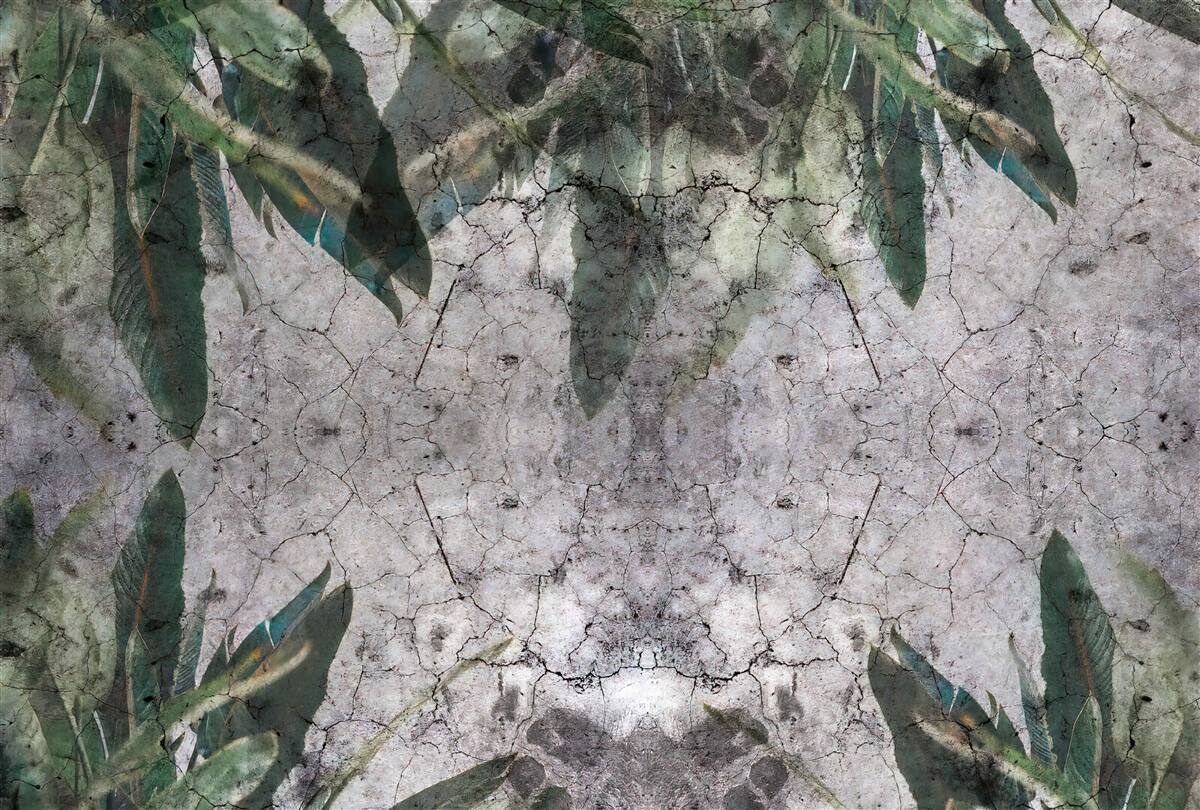 Fototapet Perete cu frunze face beton