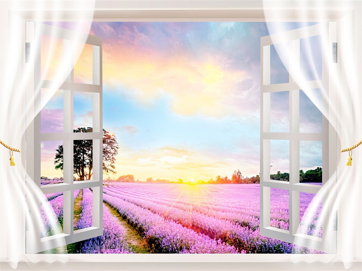 Fototapet panorama unui câmp de lavandă de la fereastră