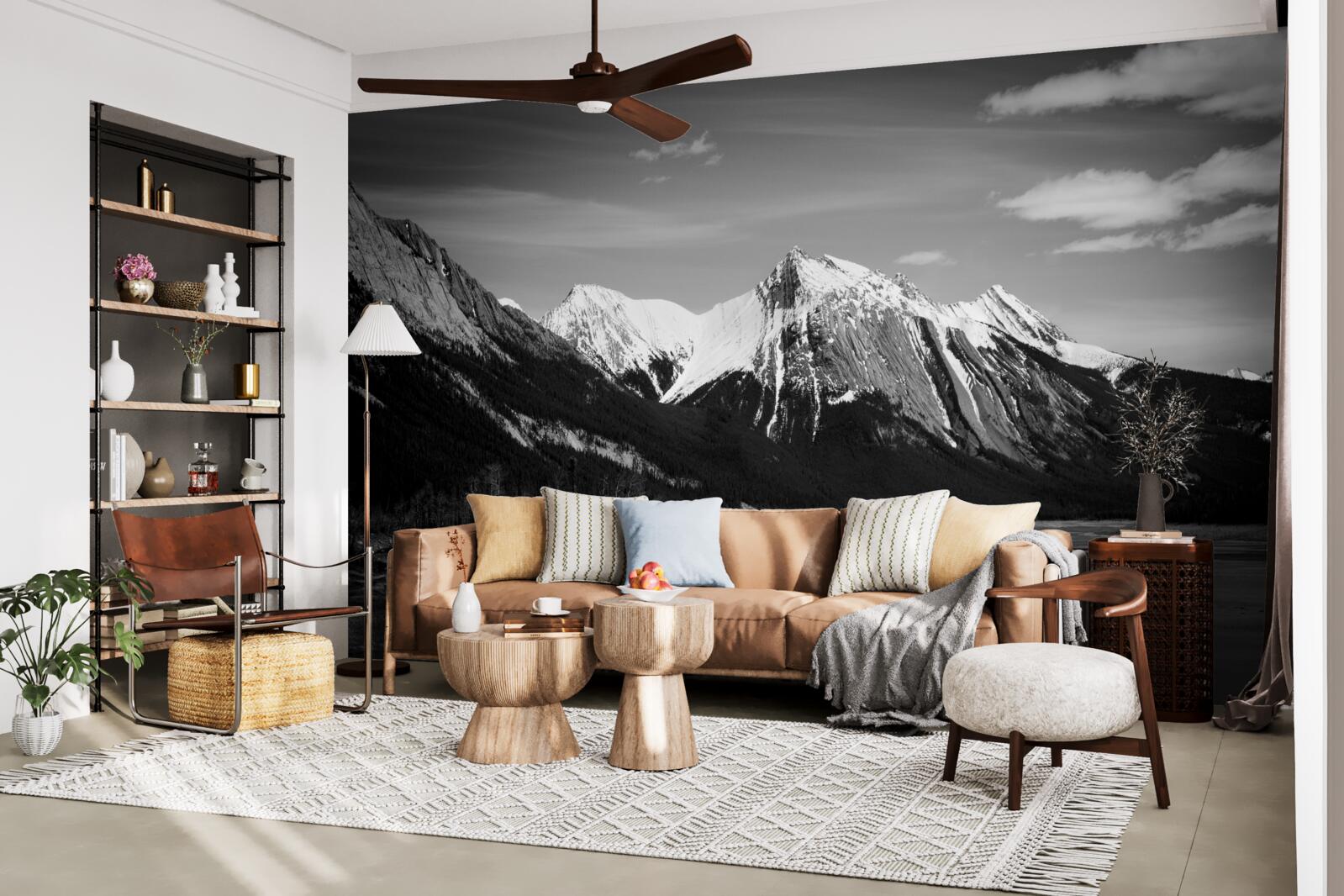 Fototapet munți în tonuri monocrome