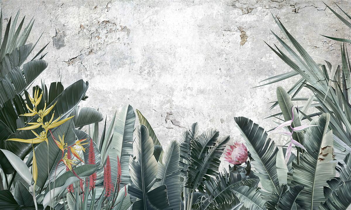 Fototapet diverse zone verzi tropicale