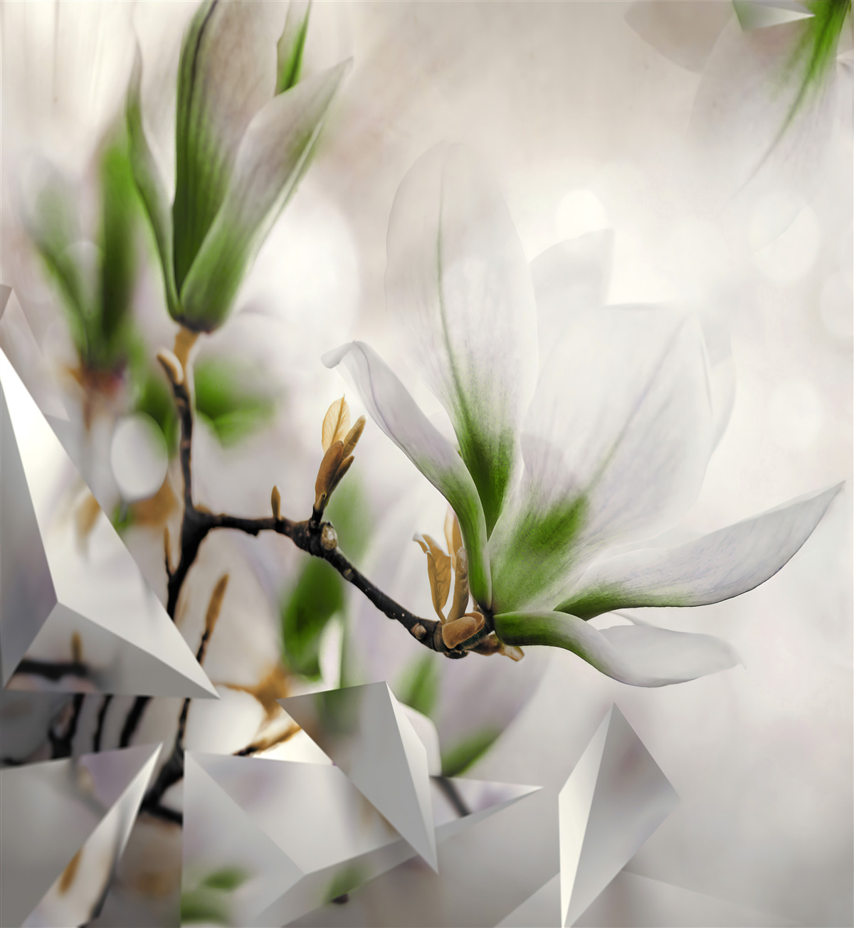 Fototapet flori în nuanțe de alb și verde combinate cu forme geometrice