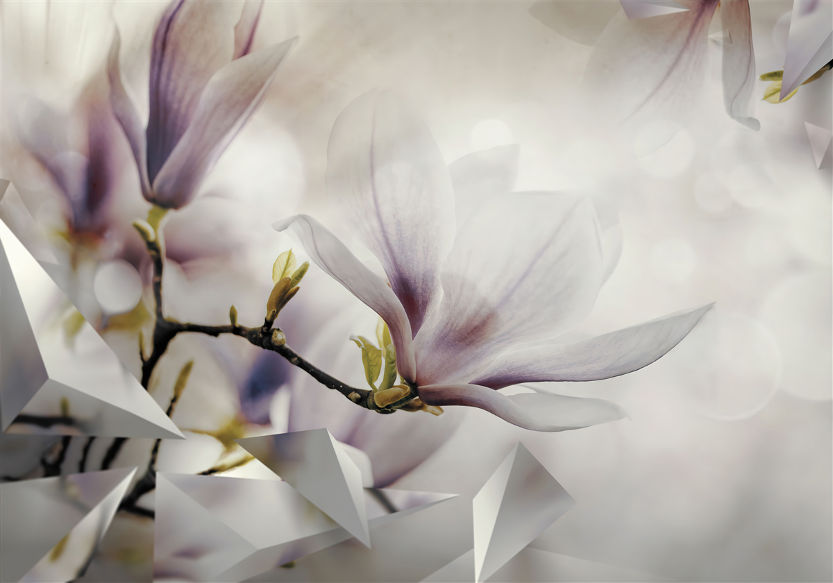 Fototapet flori mari de liliac și forme albe